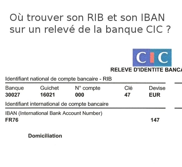 CIC Virement Exceptionnel Sur Internet Aide Pour RIB Et IBAN